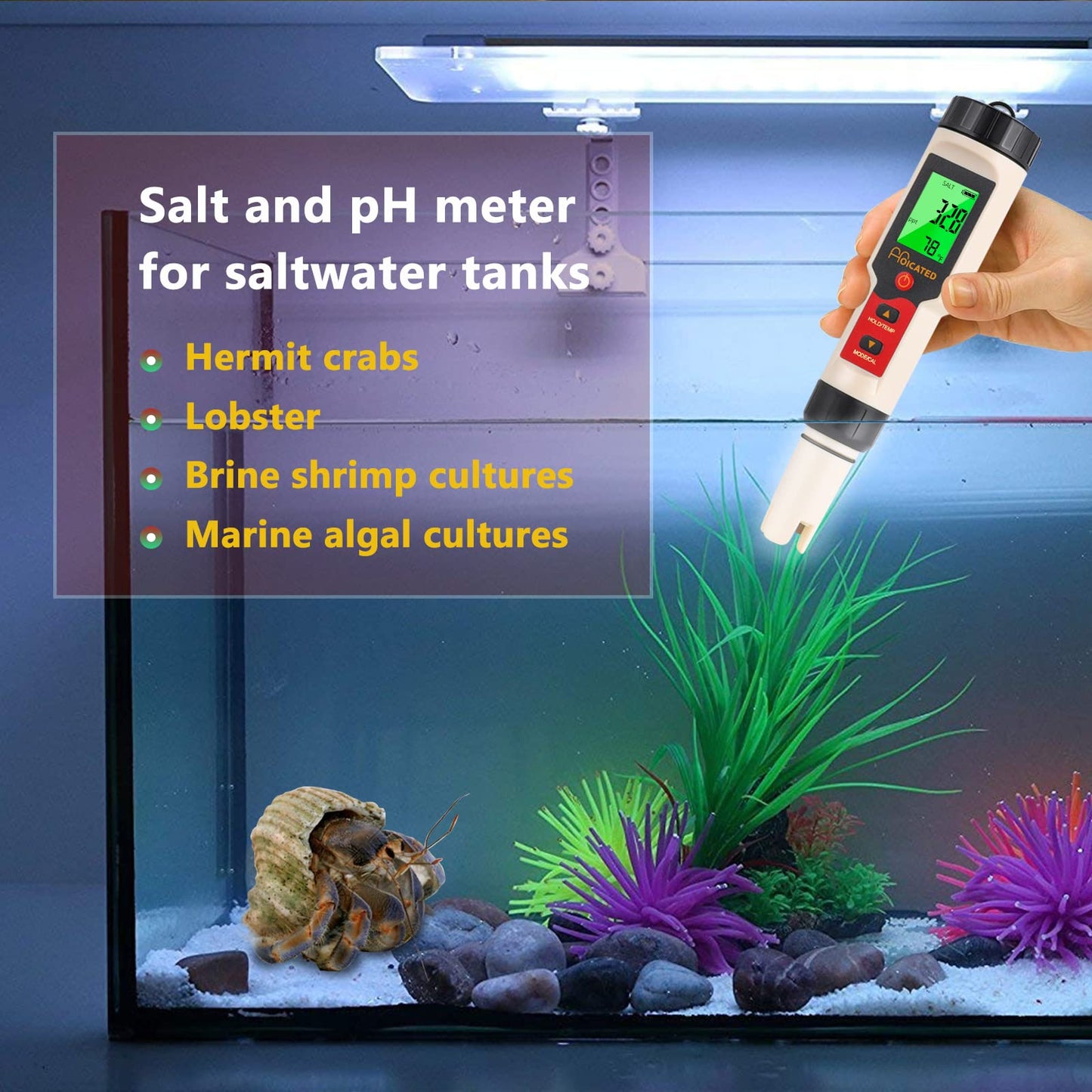 Your one-stop shop for diverse, top-quality aquarium supplies and accessories