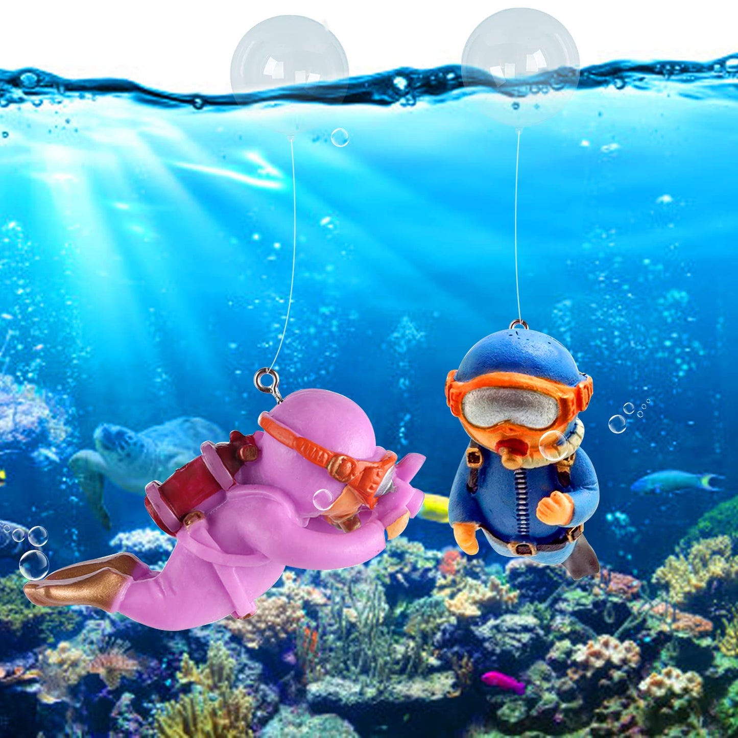 Your one-stop shop for diverse, top-quality aquarium supplies and accessories
