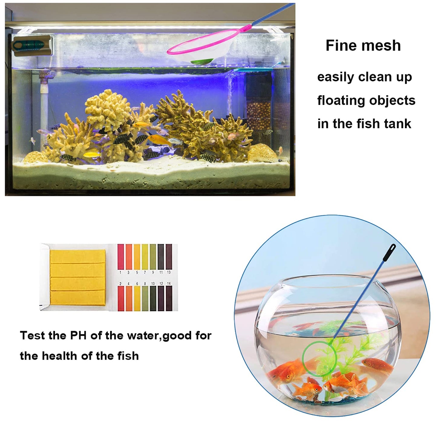Your one-stop shop for diverse, top-quality aquarium supplies and accessories