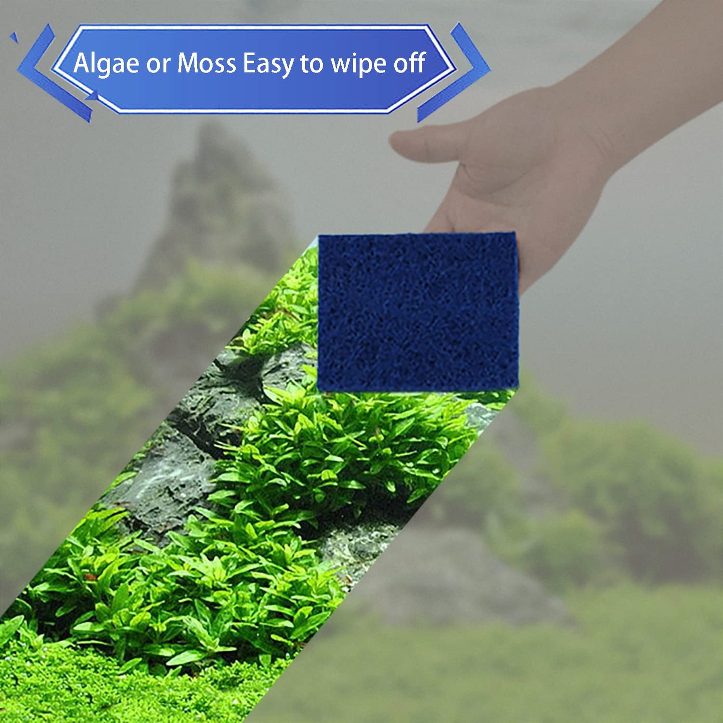Your one-stop shop for diverse, top-quality aquarium supplies and accessories