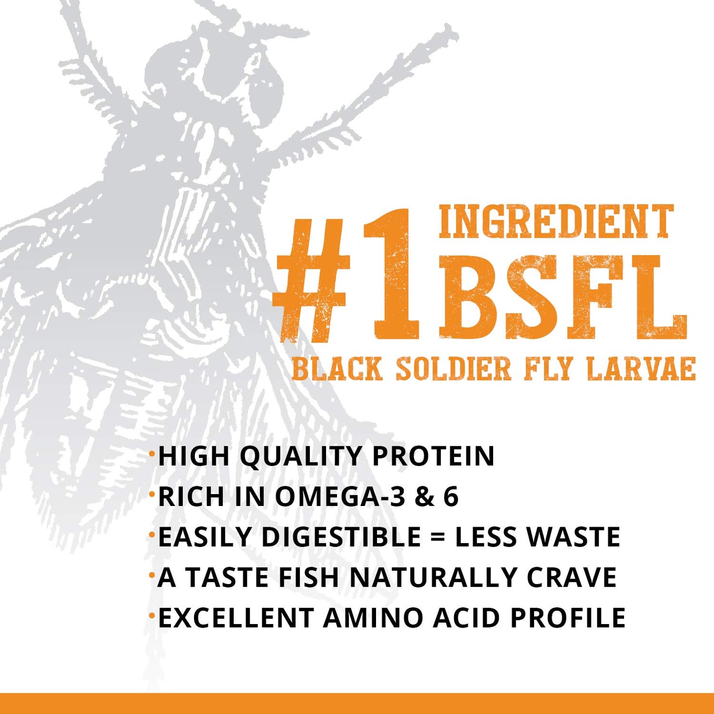 Your one-stop shop for diverse, top-quality aquarium supplies and accessories