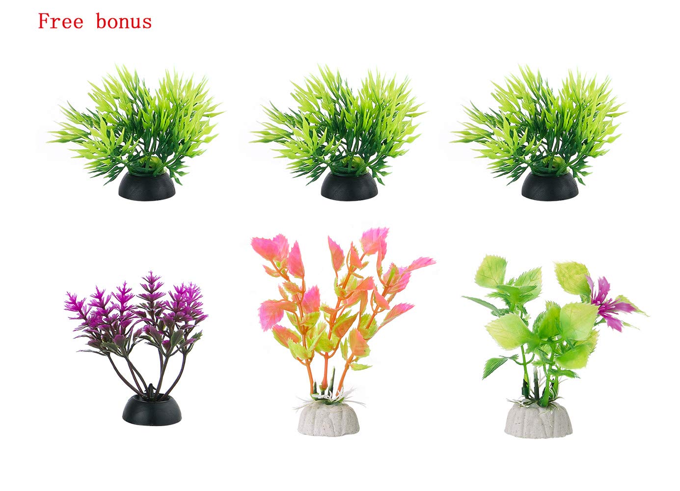 Your one-stop shop for diverse, top-quality aquarium supplies and accessories
