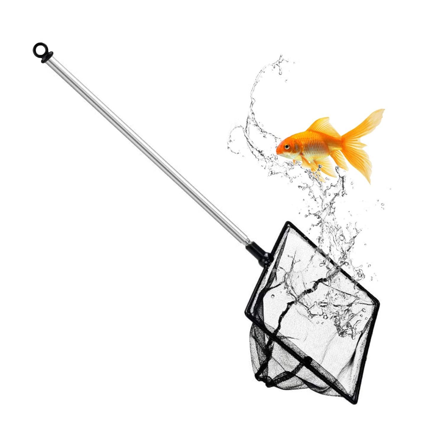 Your one-stop shop for diverse, top-quality aquarium supplies and accessories