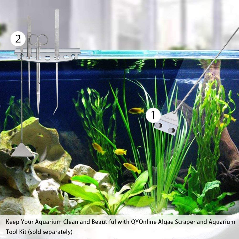 Your one-stop shop for diverse, top-quality aquarium supplies and accessories