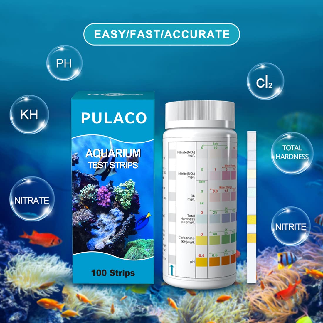 Your one-stop shop for diverse, top-quality aquarium supplies and accessories