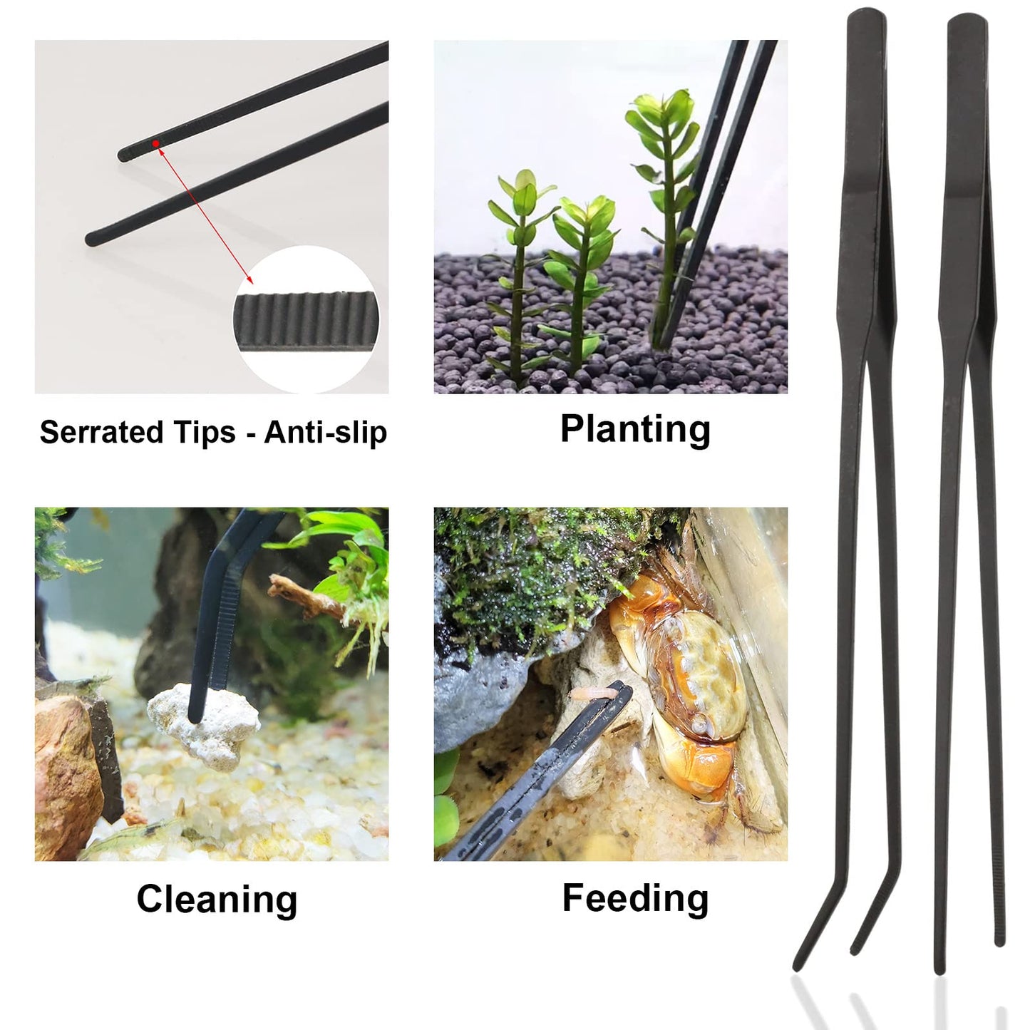 Your one-stop shop for diverse, top-quality aquarium supplies and accessories