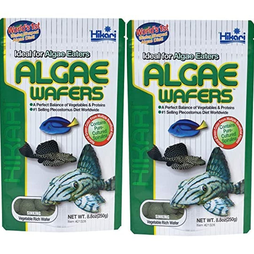 Your one-stop shop for diverse, top-quality aquarium supplies and accessories