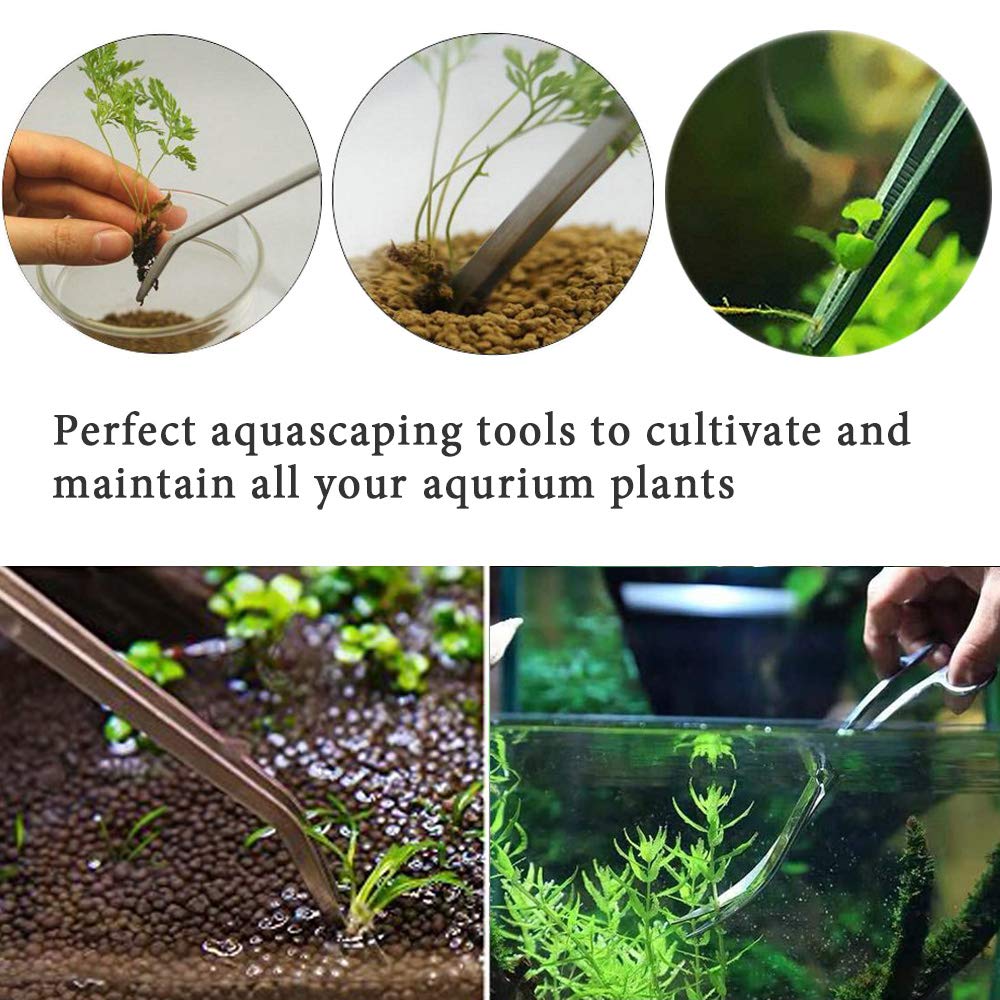 Your one-stop shop for diverse, top-quality aquarium supplies and accessories