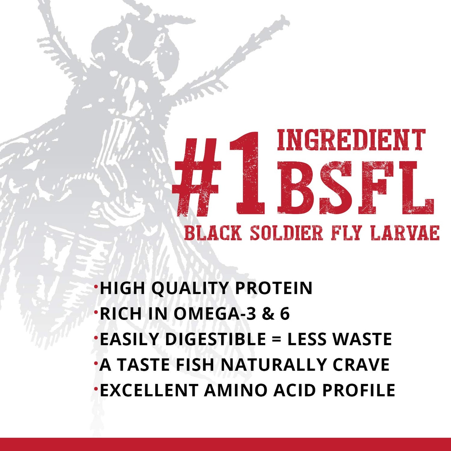 Your one-stop shop for diverse, top-quality aquarium supplies and accessories