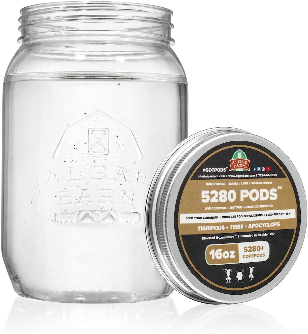 Your one-stop shop for diverse, top-quality aquarium supplies and accessories