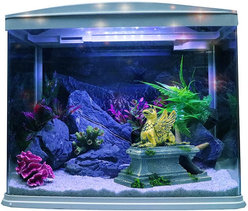 Your one-stop shop for diverse, top-quality aquarium supplies and accessories