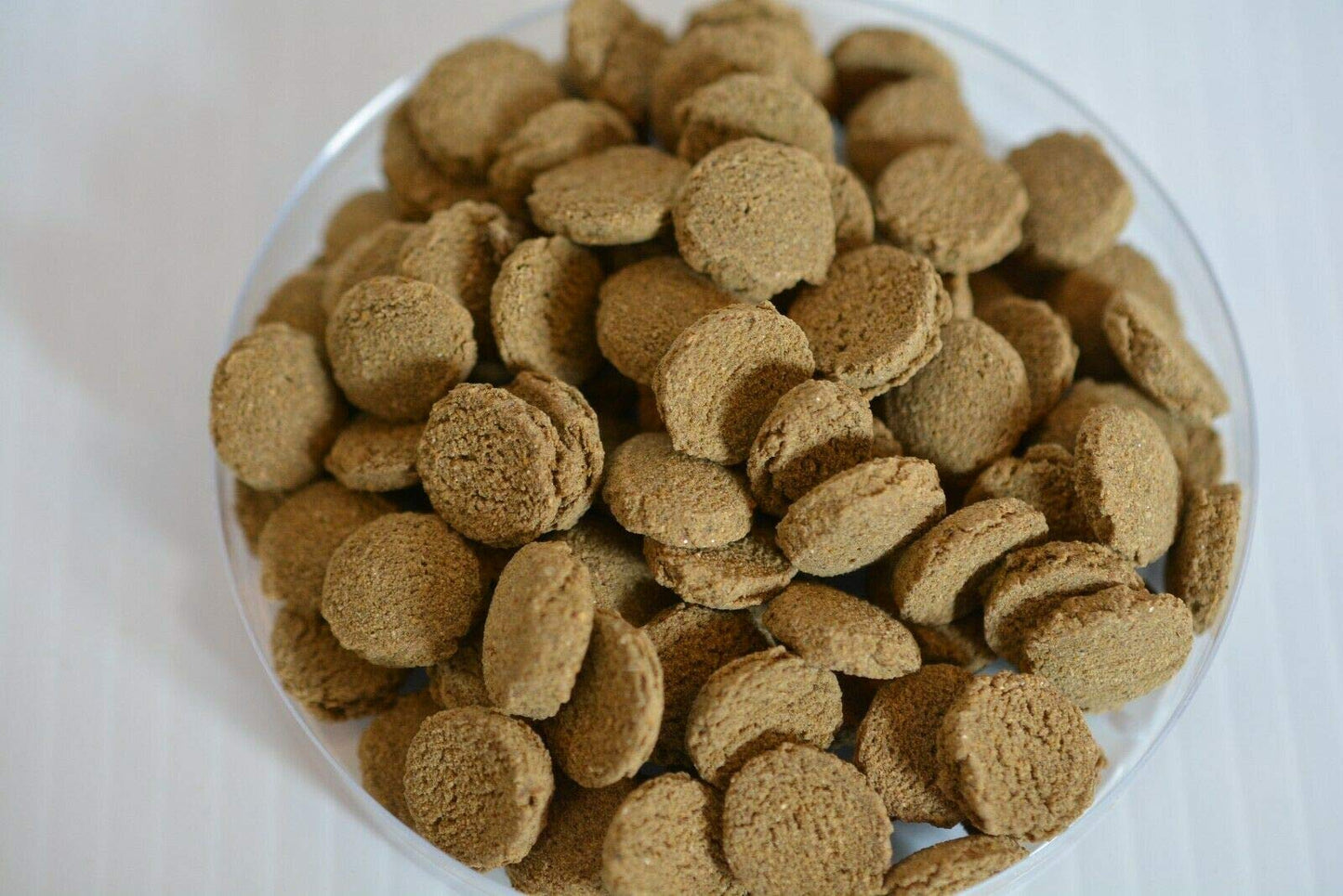 Your one-stop shop for diverse, top-quality aquarium supplies and accessories