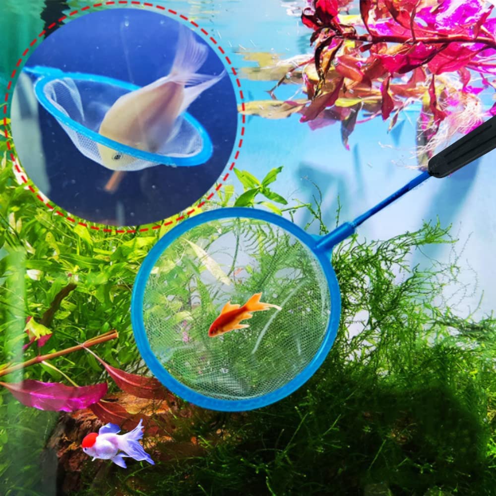 Your one-stop shop for diverse, top-quality aquarium supplies and accessories