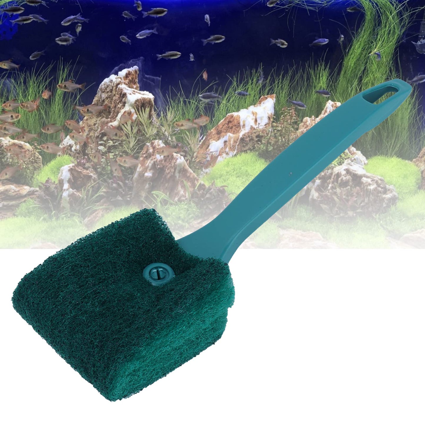 Your one-stop shop for diverse, top-quality aquarium supplies and accessories