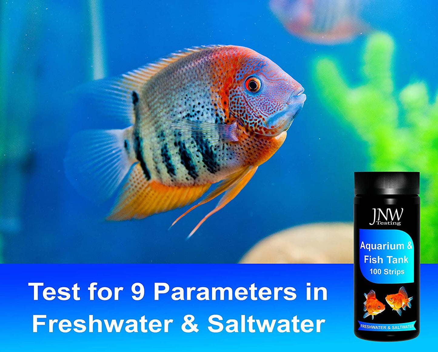 Your one-stop shop for diverse, top-quality aquarium supplies and accessories