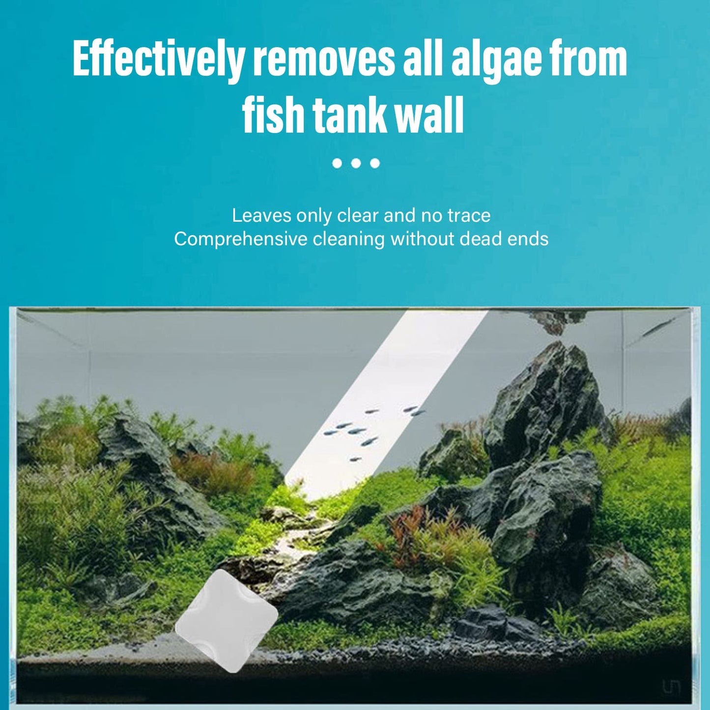 Your one-stop shop for diverse, top-quality aquarium supplies and accessories