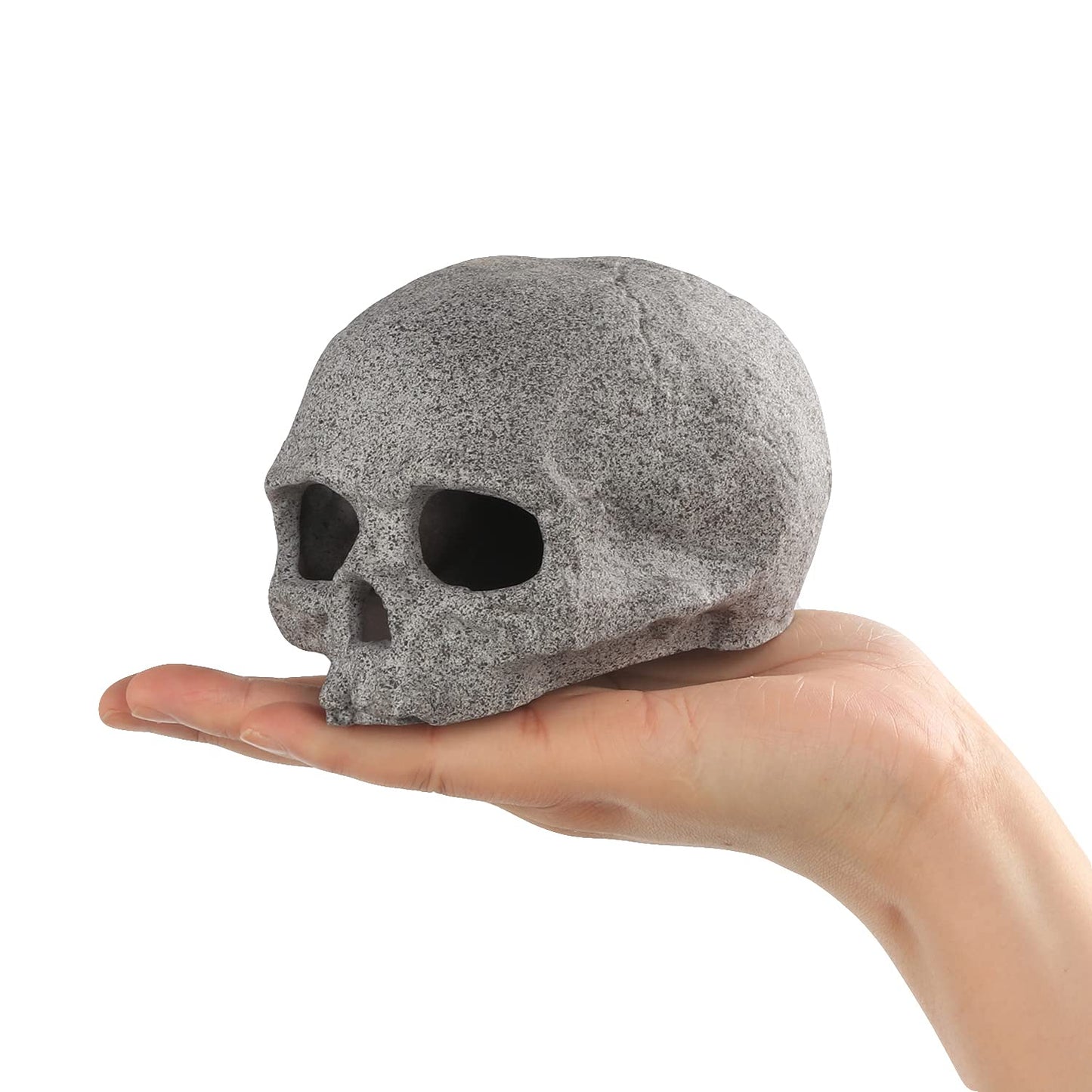 Your one-stop shop for diverse, top-quality aquarium supplies and accessories