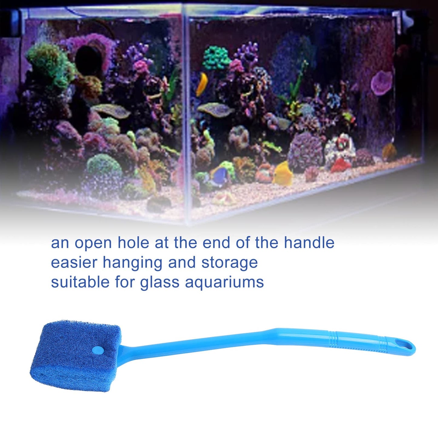Your one-stop shop for diverse, top-quality aquarium supplies and accessories