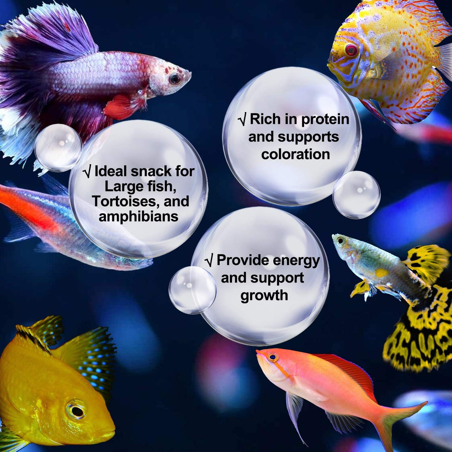 Your one-stop shop for diverse, top-quality aquarium supplies and accessories