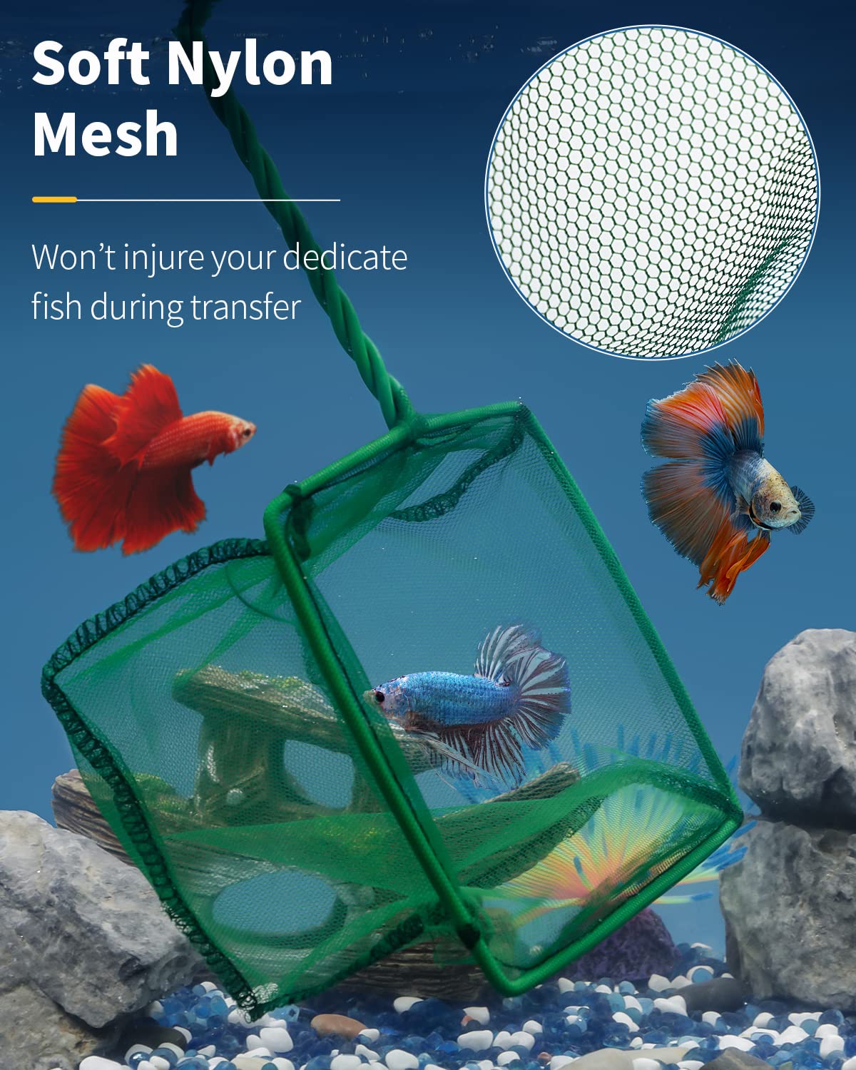 Your one-stop shop for diverse, top-quality aquarium supplies and accessories