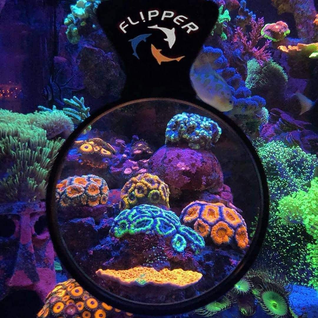 Your one-stop shop for diverse, top-quality aquarium supplies and accessories