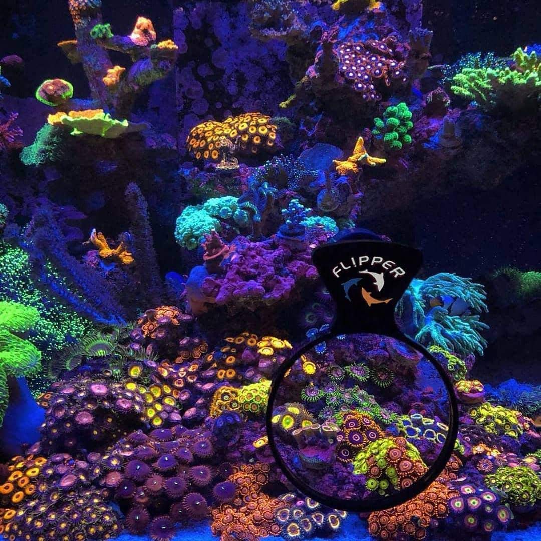 Your one-stop shop for diverse, top-quality aquarium supplies and accessories