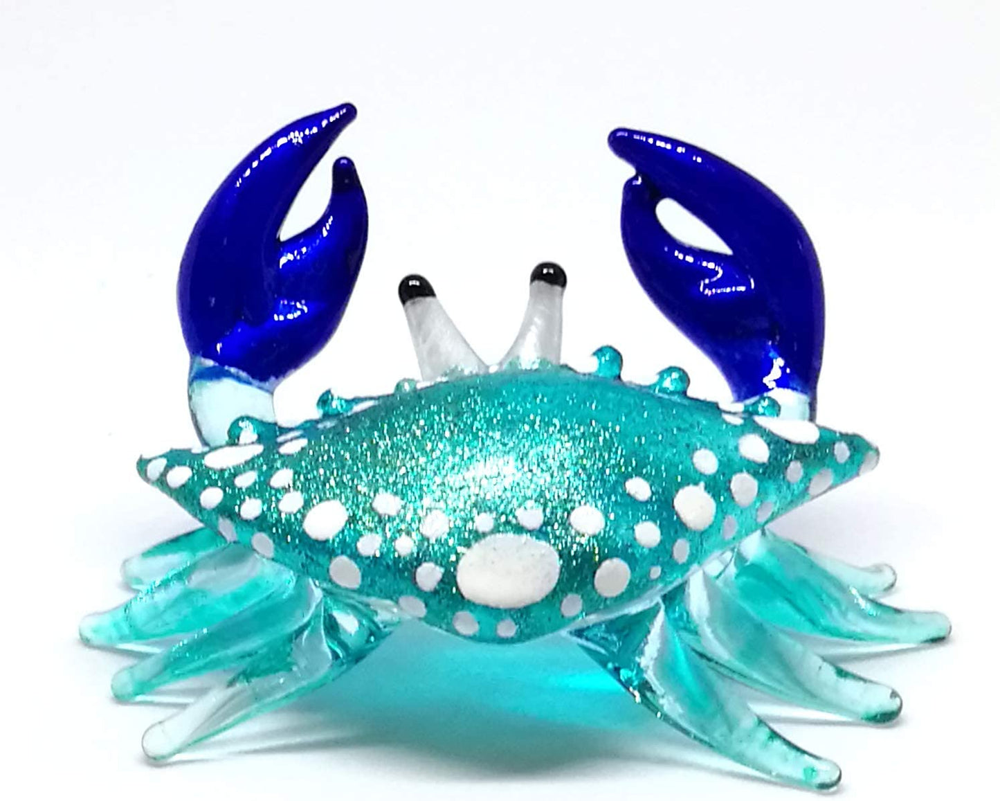 Your one-stop shop for diverse, top-quality aquarium supplies and accessories