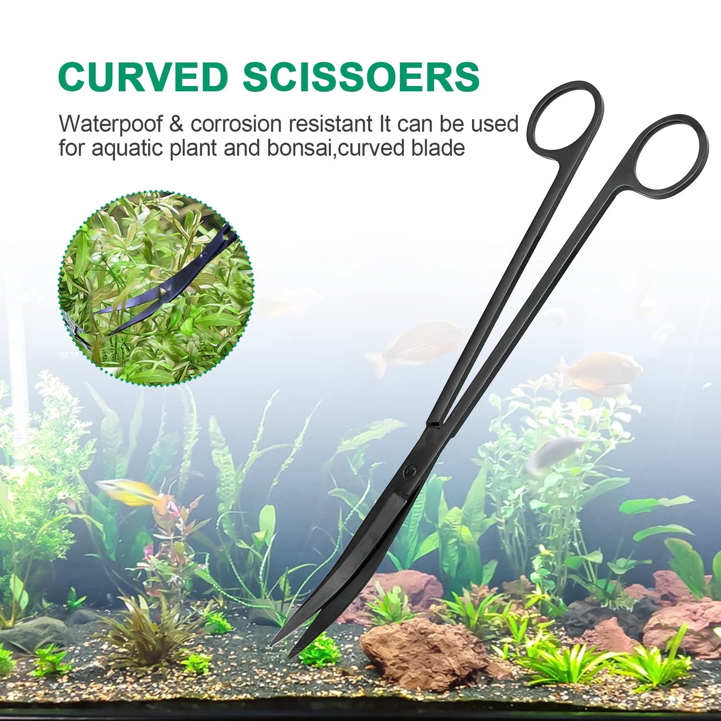 Your one-stop shop for diverse, top-quality aquarium supplies and accessories