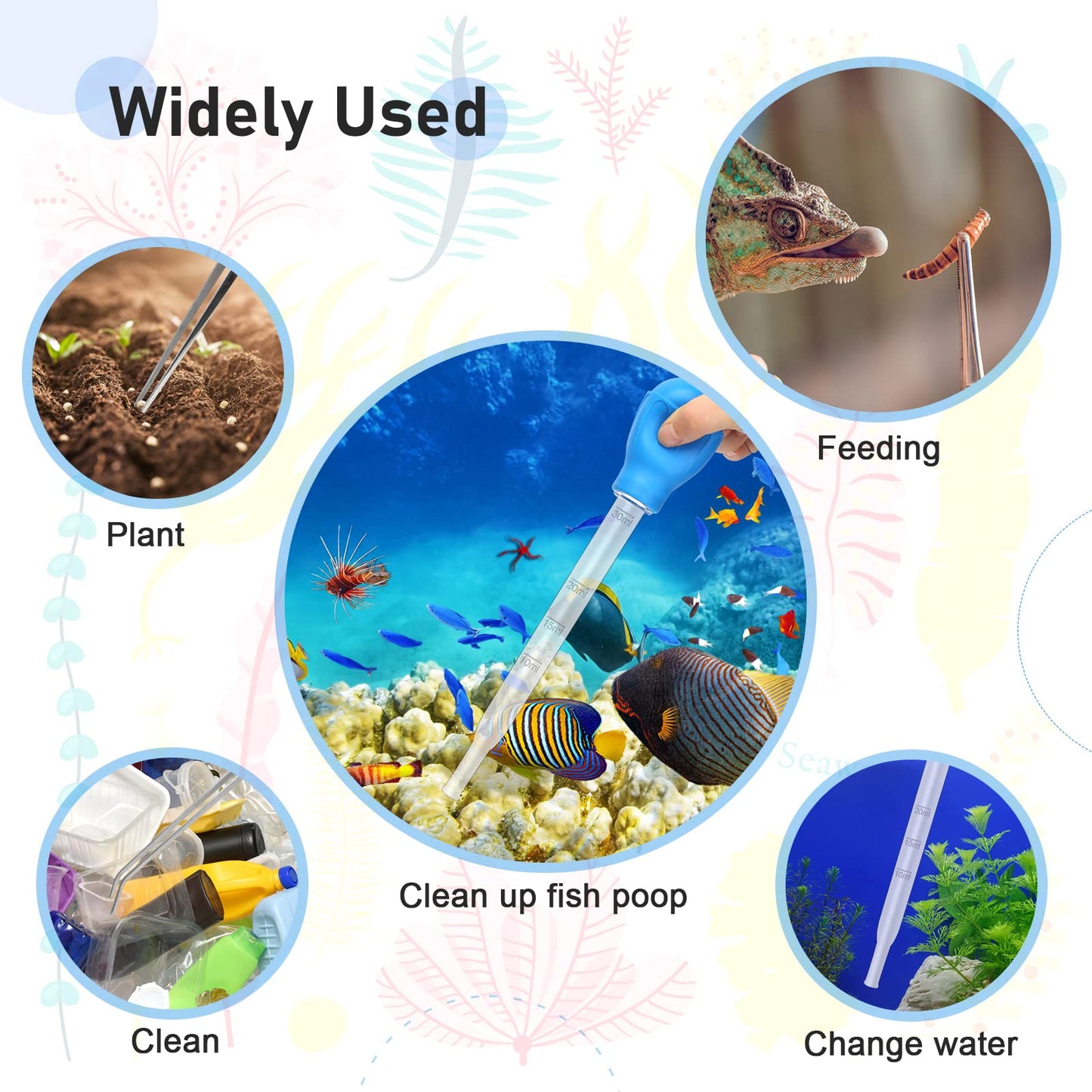 Your one-stop shop for diverse, top-quality aquarium supplies and accessories