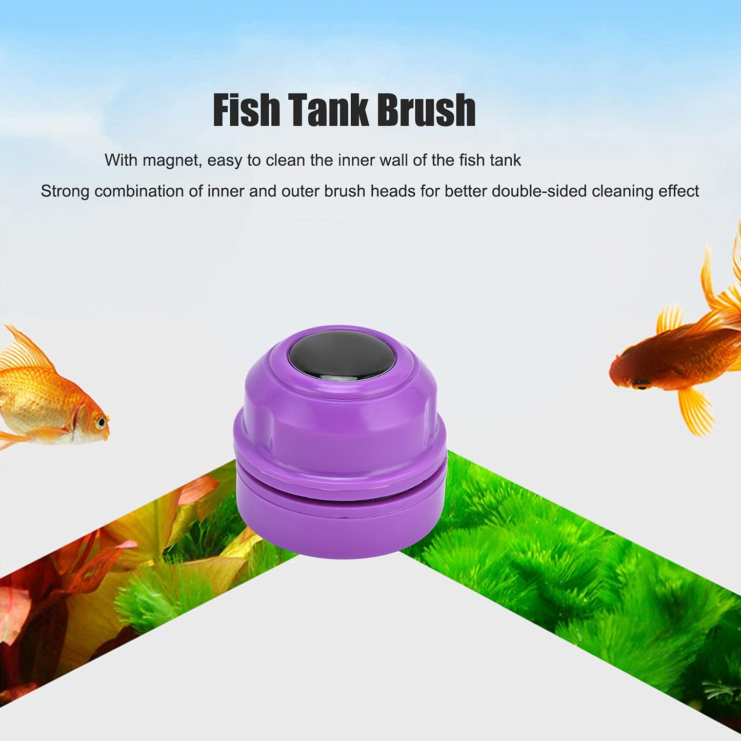 Your one-stop shop for diverse, top-quality aquarium supplies and accessories