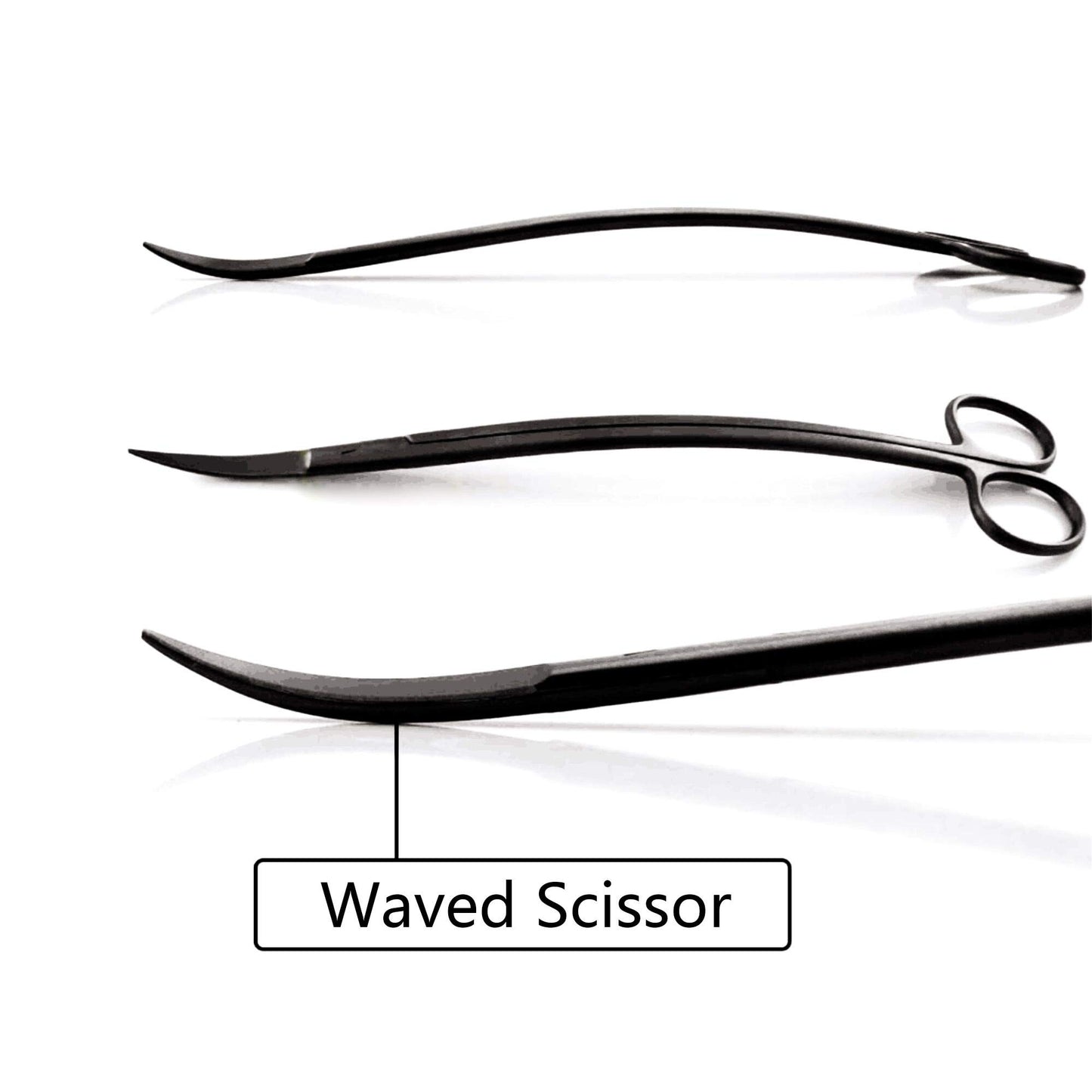 Your one-stop shop for diverse, top-quality aquarium supplies and accessories