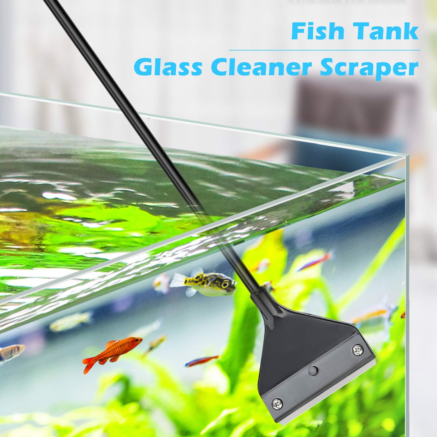 Your one-stop shop for diverse, top-quality aquarium supplies and accessories
