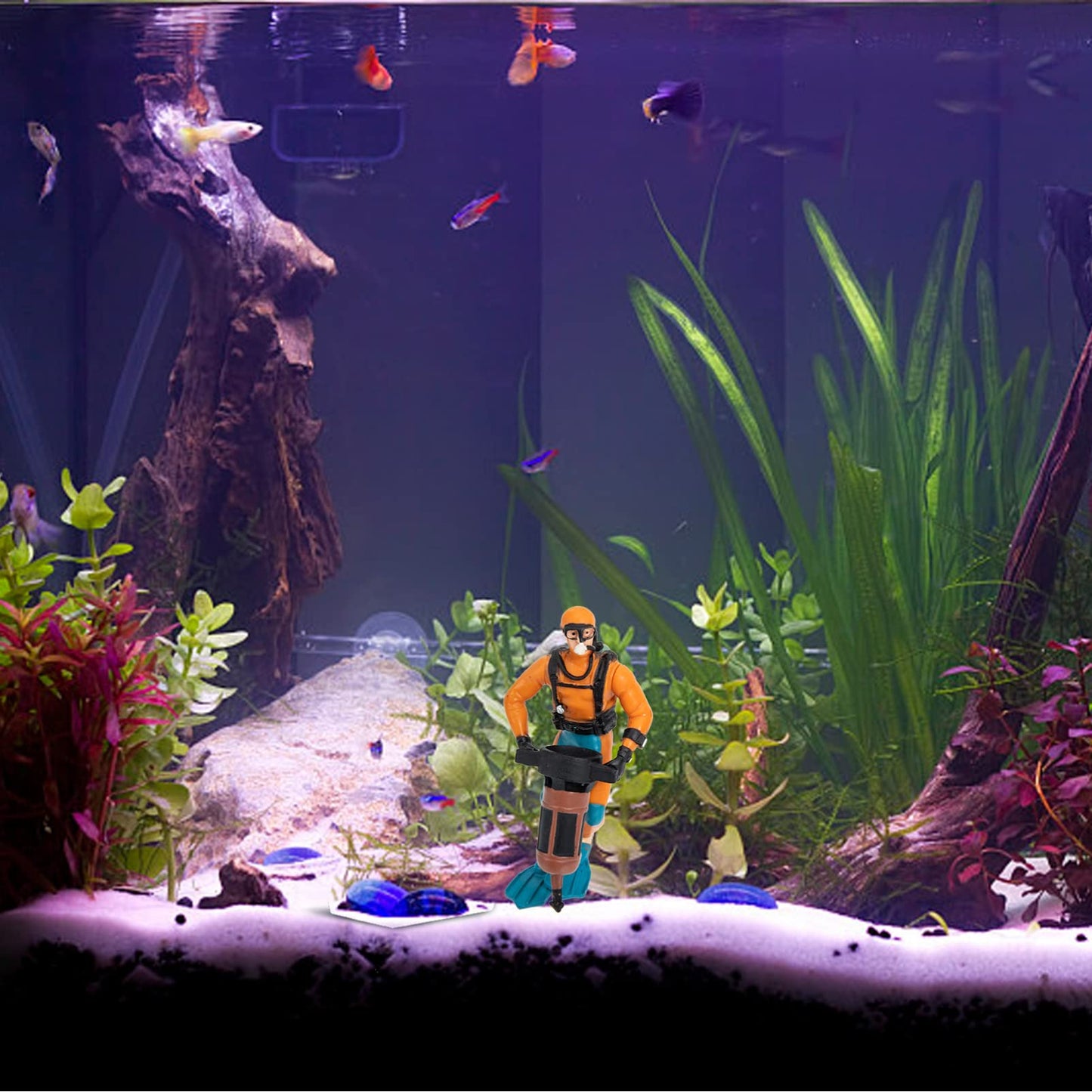 Your one-stop shop for diverse, top-quality aquarium supplies and accessories