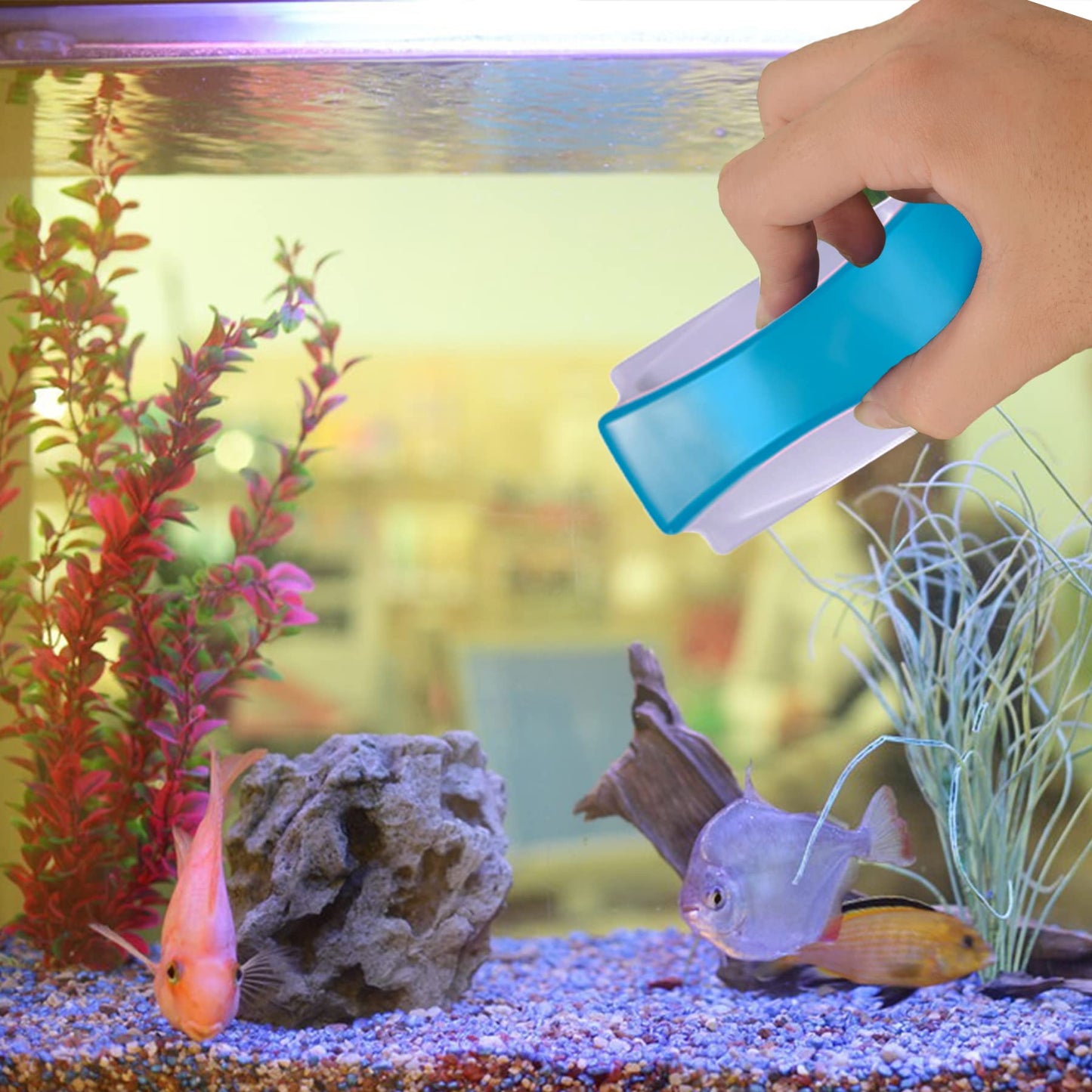 Your one-stop shop for diverse, top-quality aquarium supplies and accessories