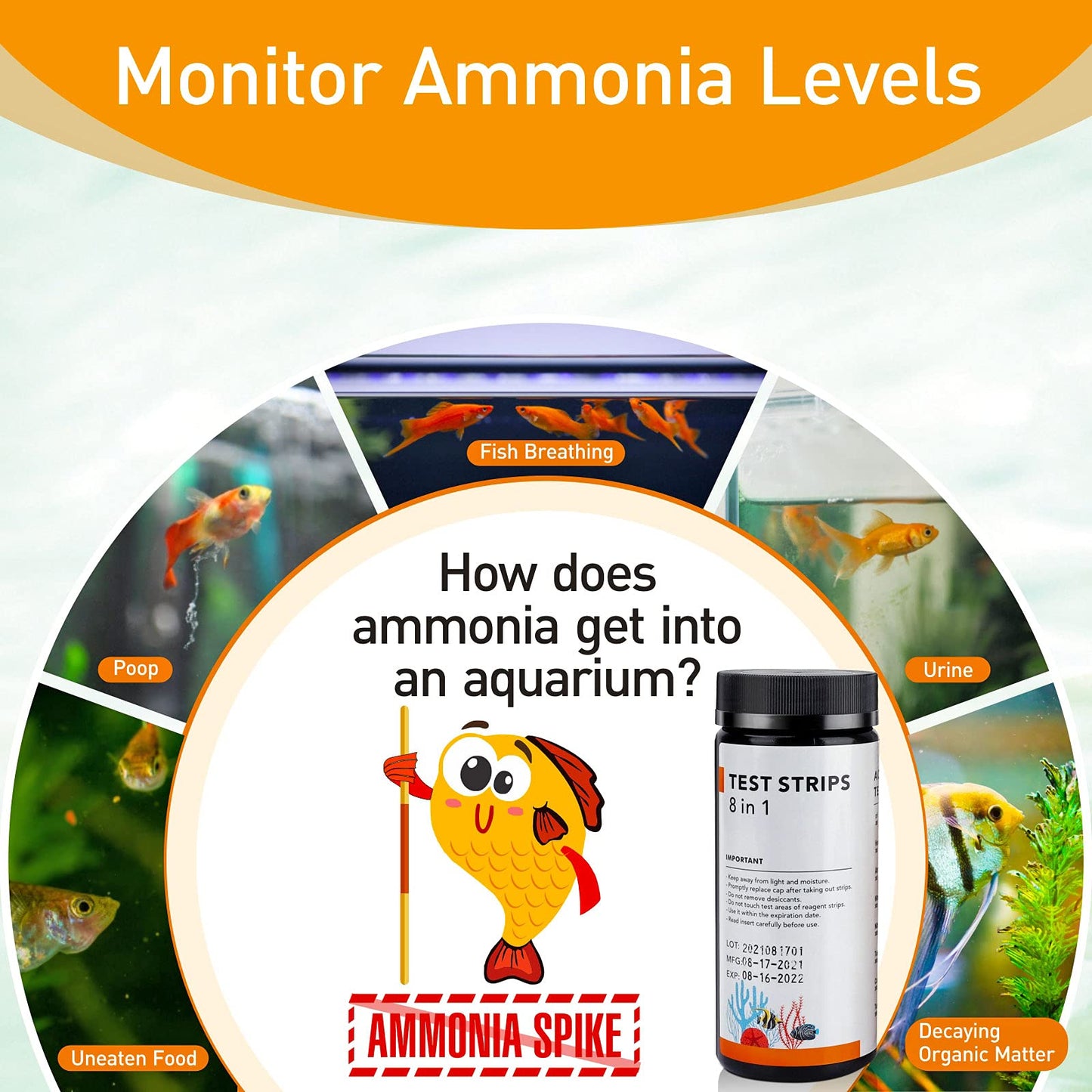 Your one-stop shop for diverse, top-quality aquarium supplies and accessories