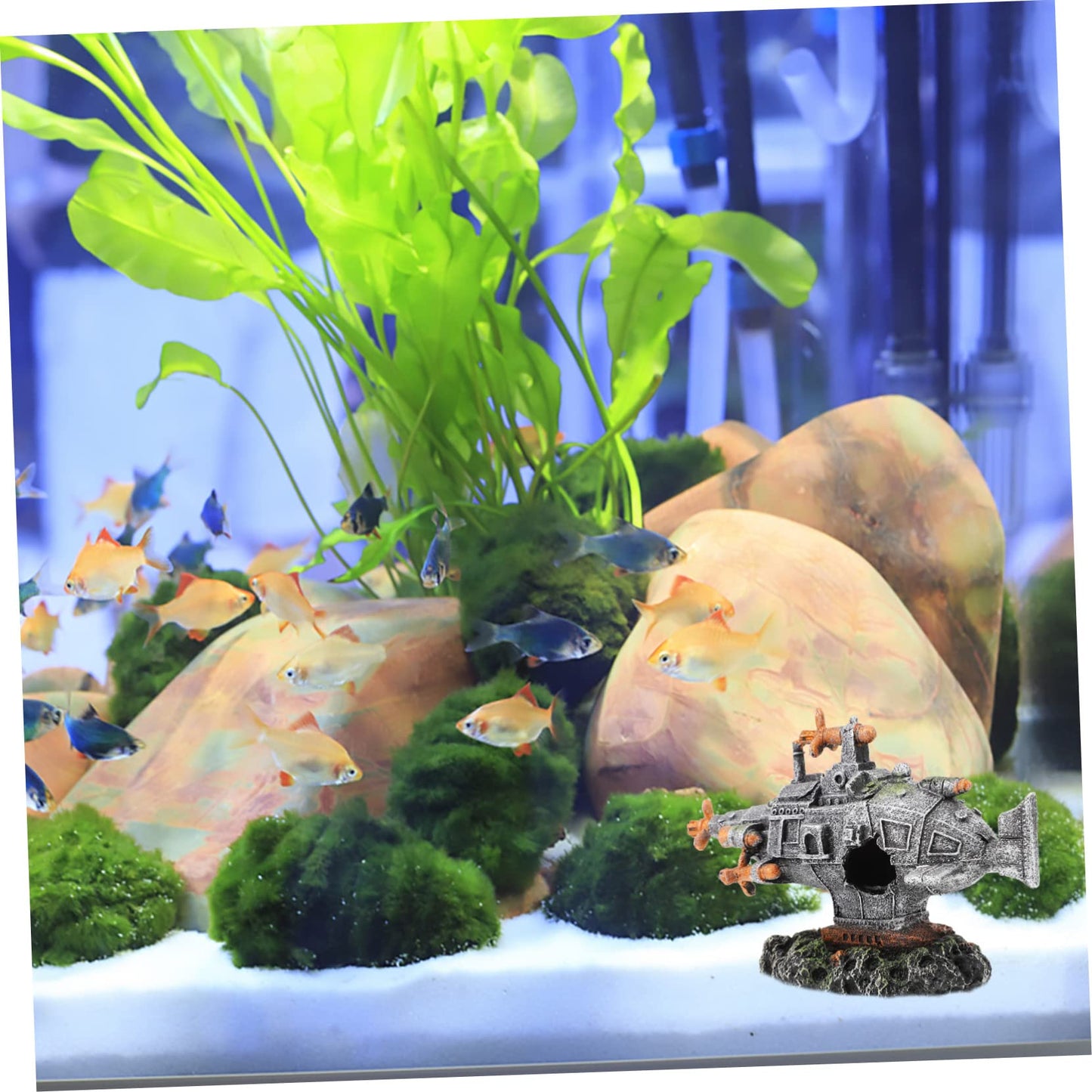 Your one-stop shop for diverse, top-quality aquarium supplies and accessories