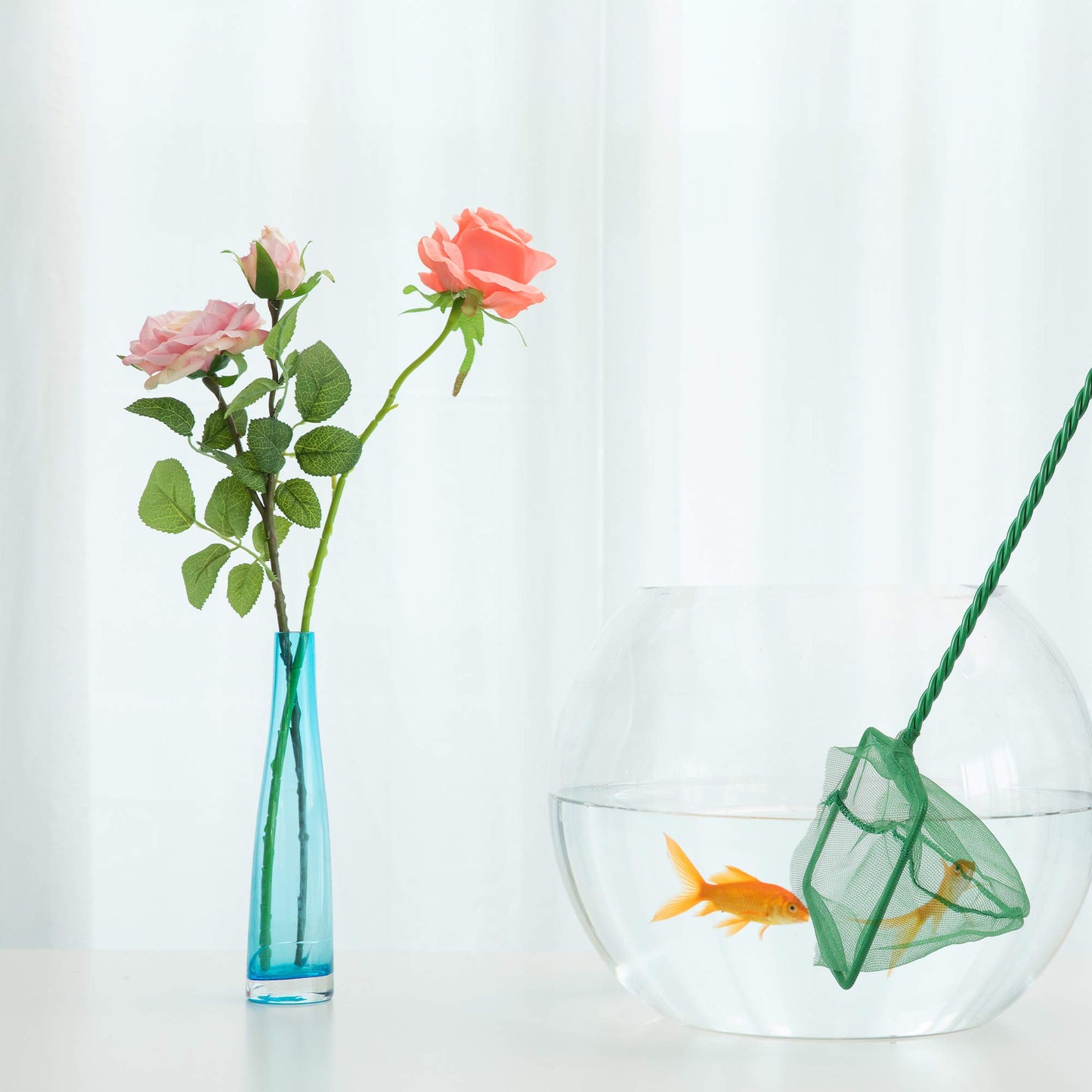 Your one-stop shop for diverse, top-quality aquarium supplies and accessories