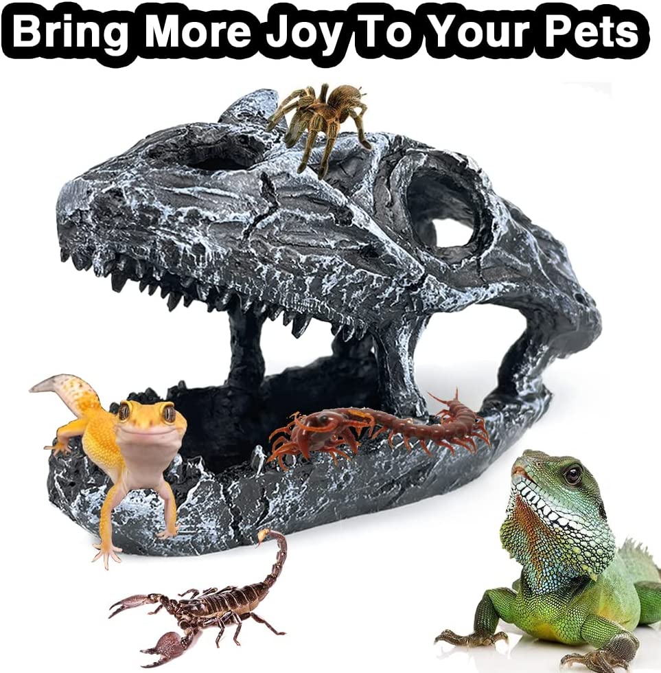 Your one-stop shop for diverse, top-quality aquarium supplies and accessories