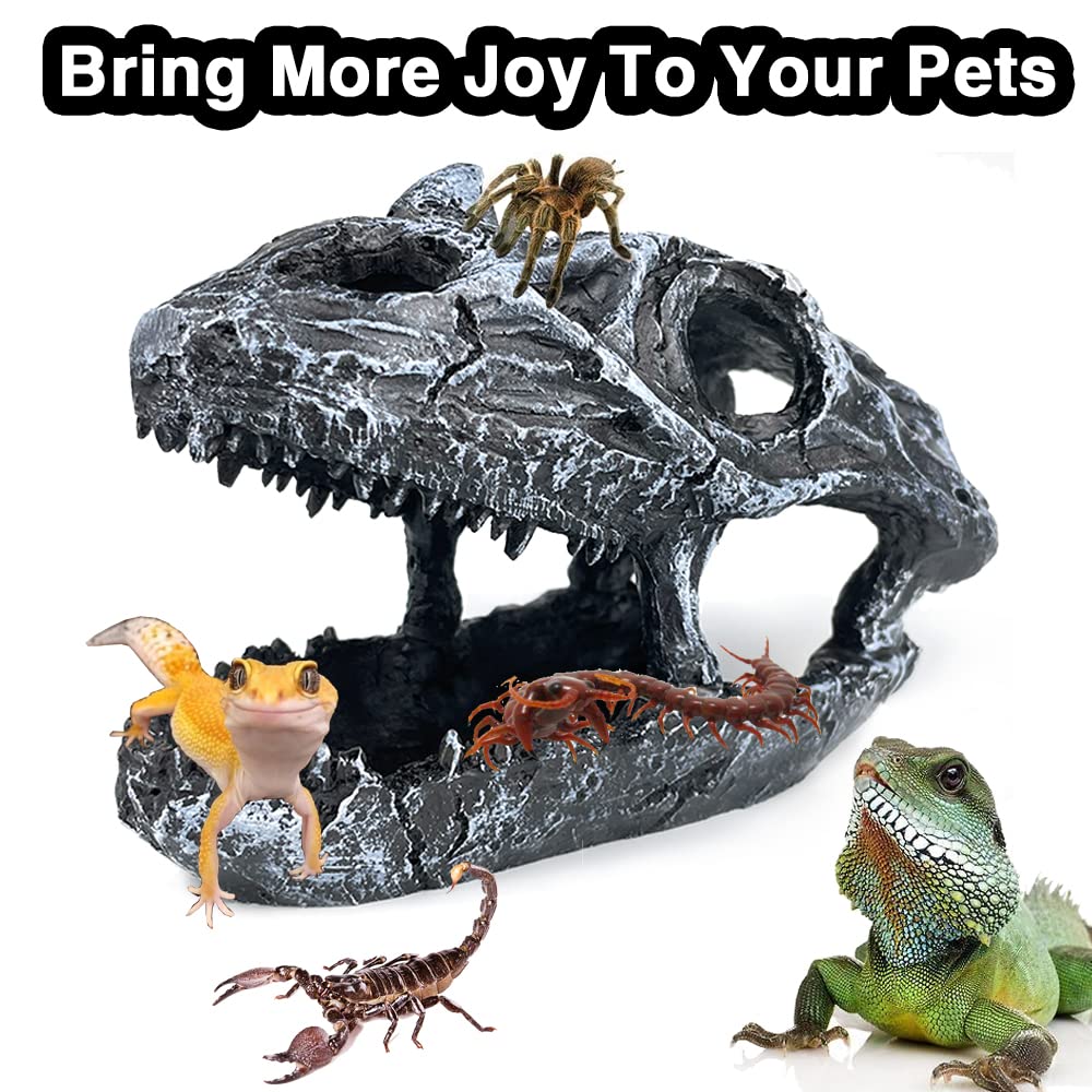 Your one-stop shop for diverse, top-quality aquarium supplies and accessories