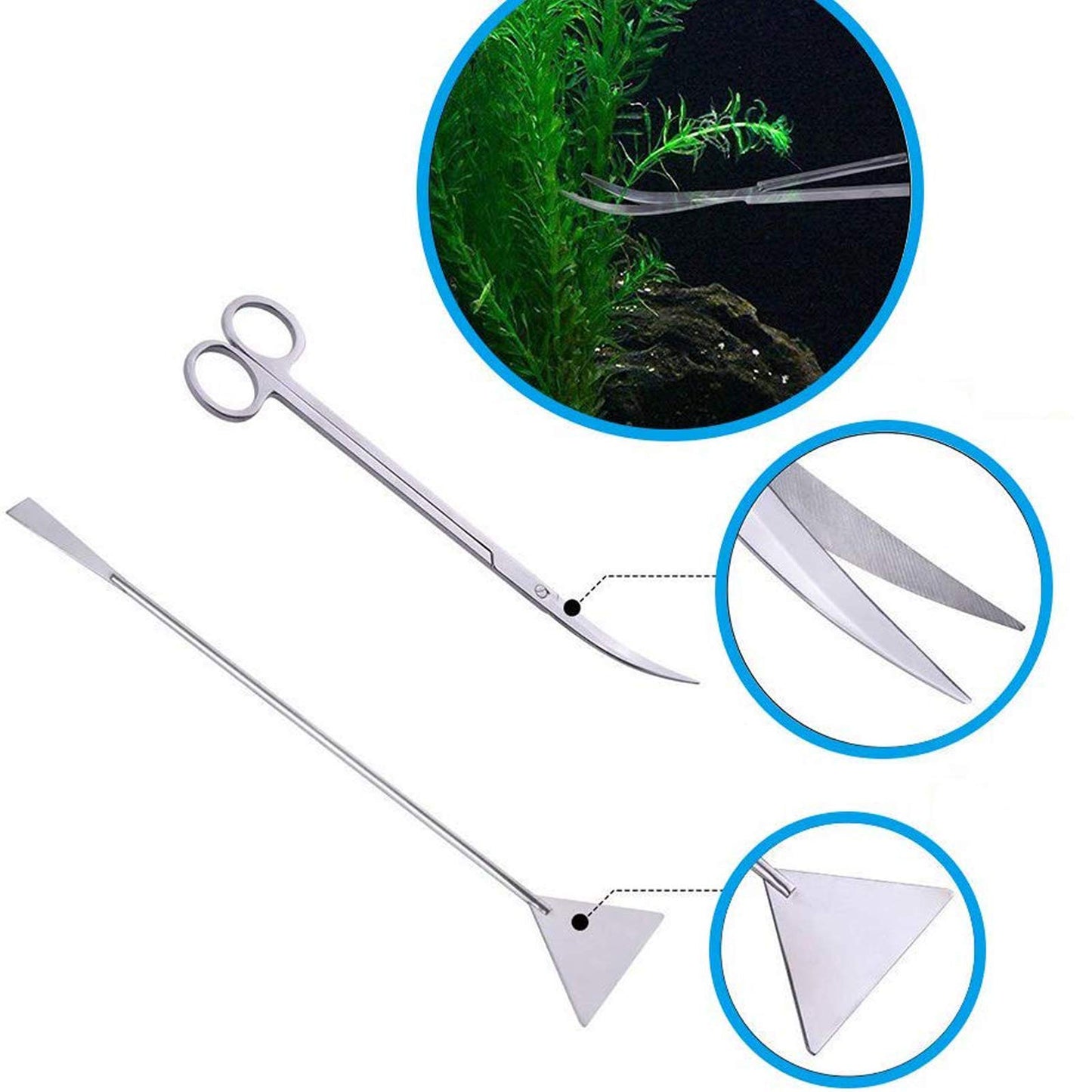 Your one-stop shop for diverse, top-quality aquarium supplies and accessories