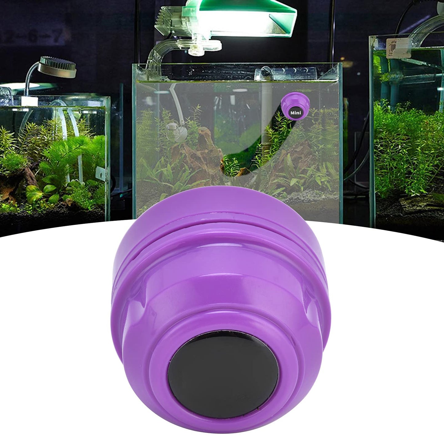 Your one-stop shop for diverse, top-quality aquarium supplies and accessories