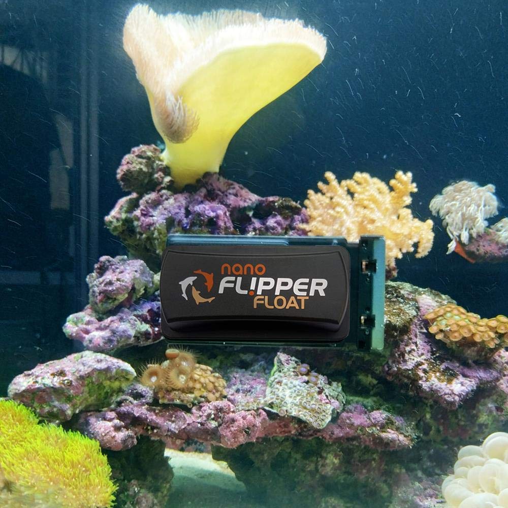 Your one-stop shop for diverse, top-quality aquarium supplies and accessories
