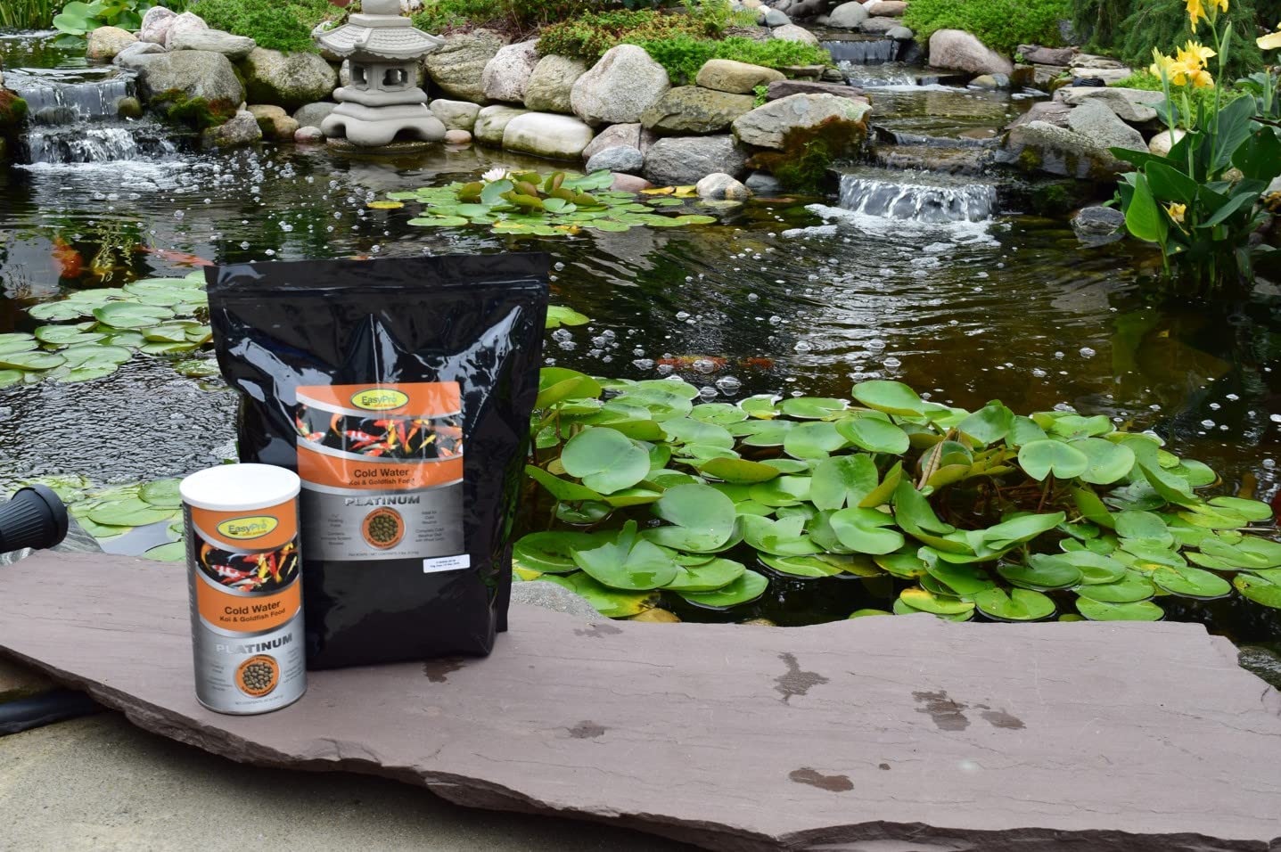 Your one-stop shop for diverse, top-quality aquarium supplies and accessories