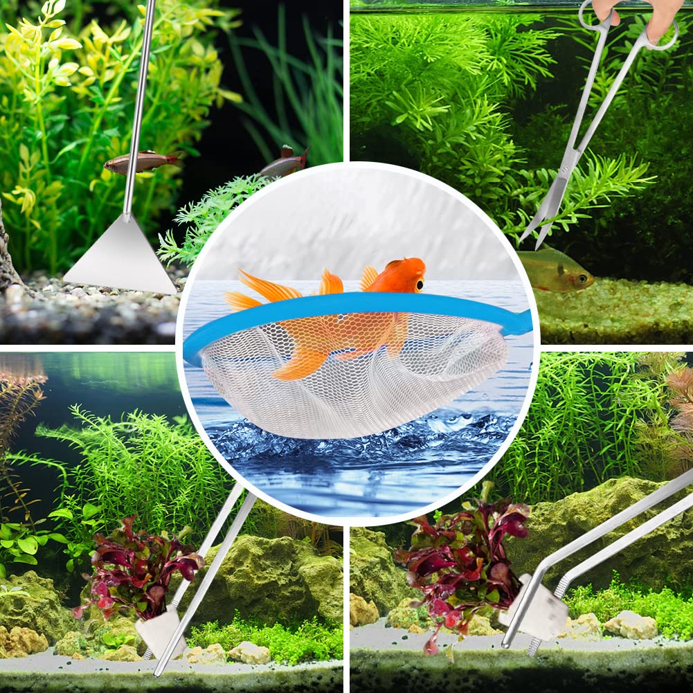 Your one-stop shop for diverse, top-quality aquarium supplies and accessories