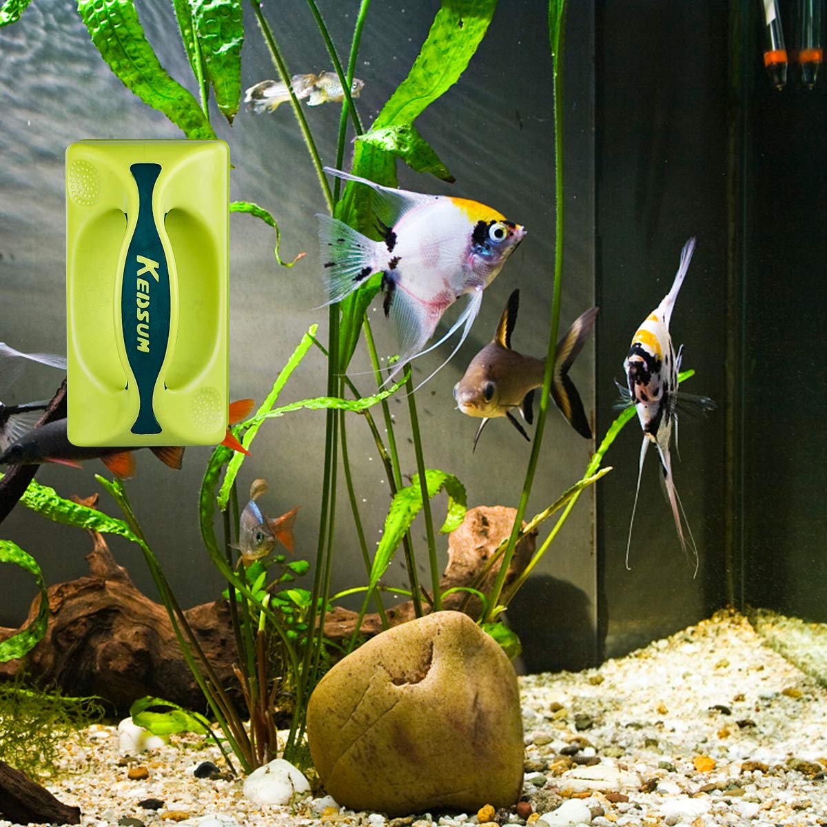 Your one-stop shop for diverse, top-quality aquarium supplies and accessories