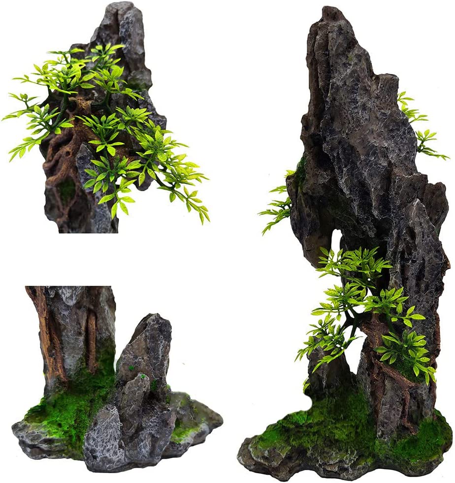 Your one-stop shop for diverse, top-quality aquarium supplies and accessories