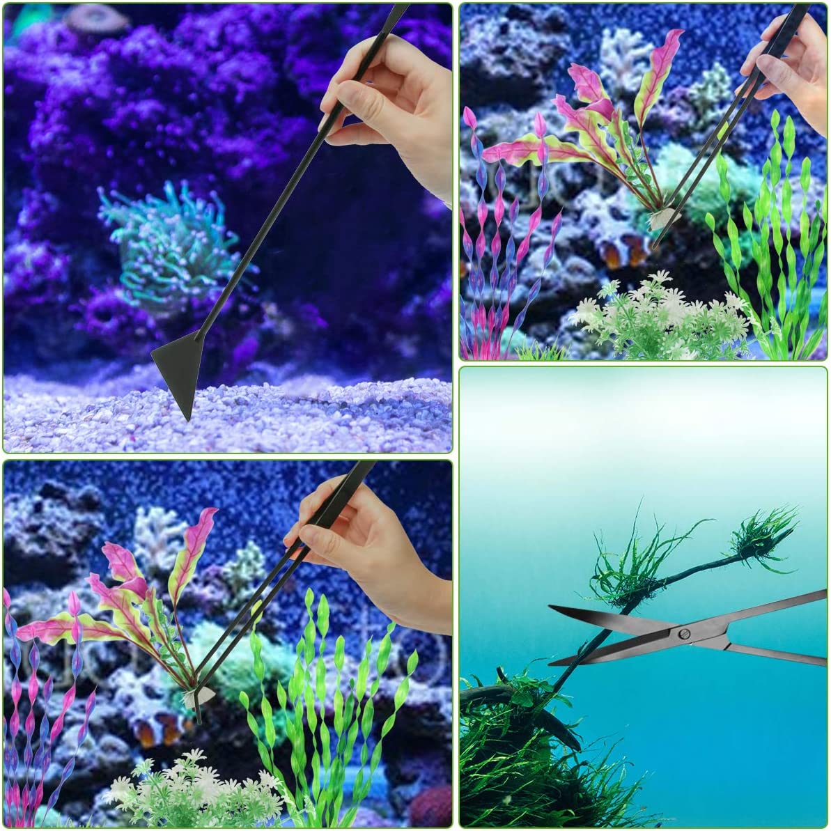 Your one-stop shop for diverse, top-quality aquarium supplies and accessories