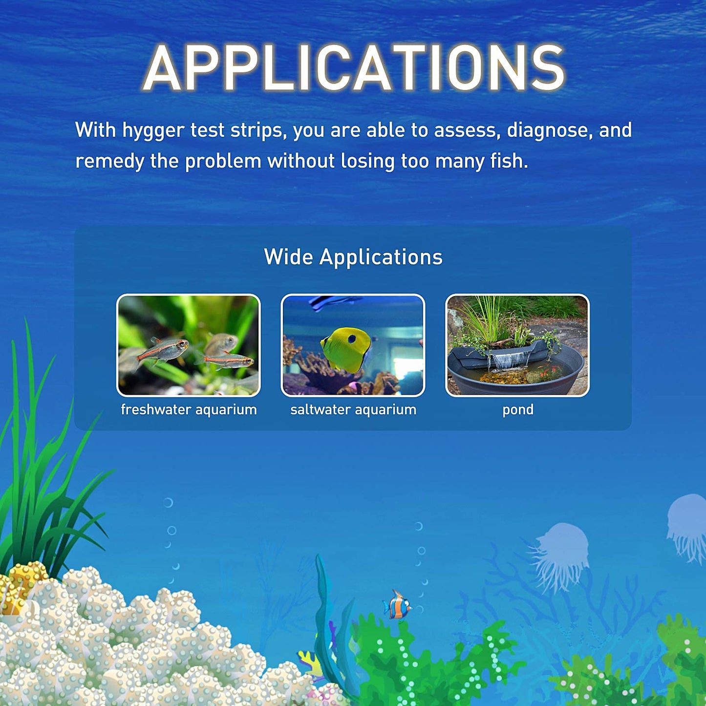 Your one-stop shop for diverse, top-quality aquarium supplies and accessories