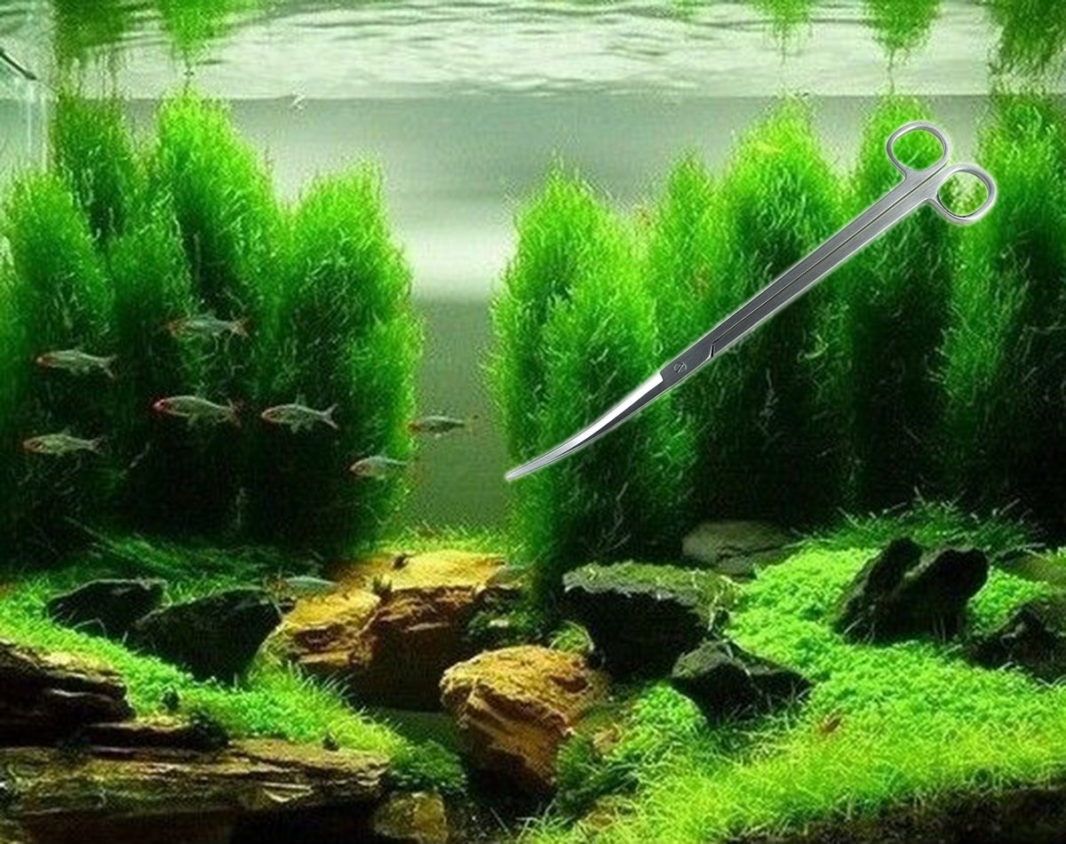 Your one-stop shop for diverse, top-quality aquarium supplies and accessories