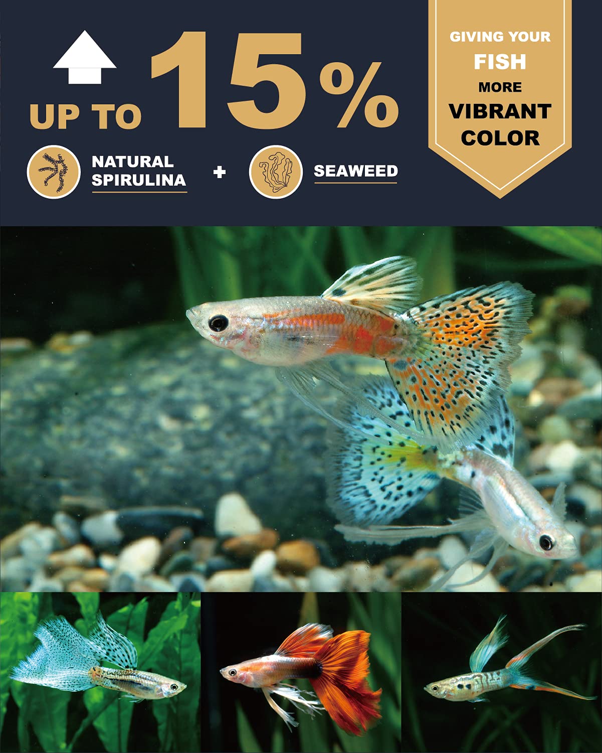 Your one-stop shop for diverse, top-quality aquarium supplies and accessories